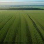 Green Entrepreneurship Initiatives: How Grassroots Startups Are Redefining Global Climate Action